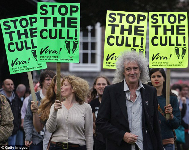 Brian May and badger protesters