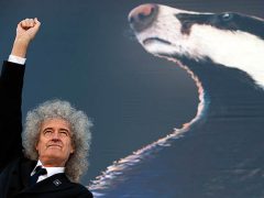Brian May - Badger Poster launch