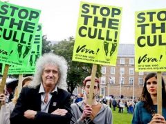 Brian May badger rally