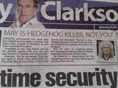 eremy Clarkson - May is hedgehog killer not you