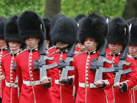 Royal Guards in bearskins
