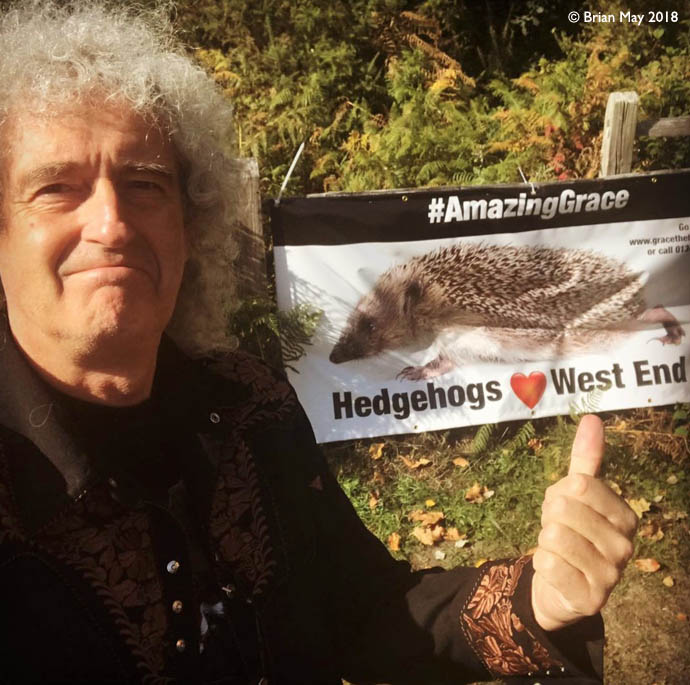 Brian May - Hedgehog Awareness Day