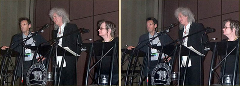 Denis Pellerin, Brian May and Paula Fleming keynote speech 3D-Con June 2013