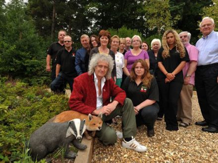 Brian May and campaigners