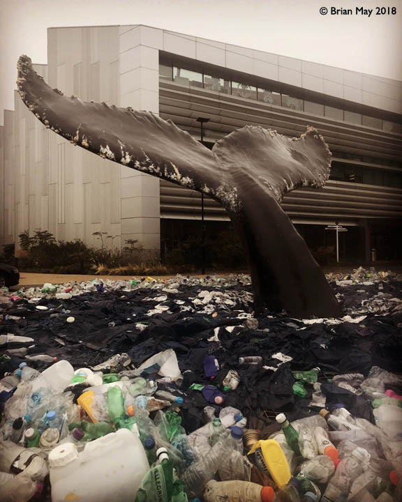 Whale sculpture swimming in sea of plastic - Sky Studios