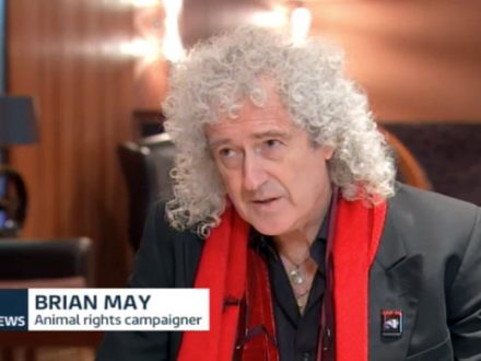 Brian May ITV lunchtime News 13 Nov 2018