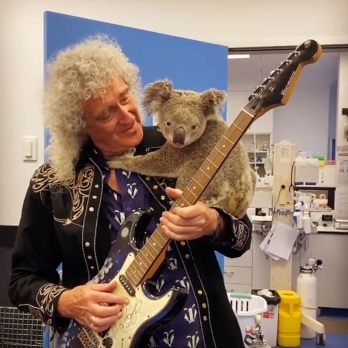 Brian May and Koala pal. RSPCA Animal Hospital, Wacol, Brisbane - 14 Feb 2020