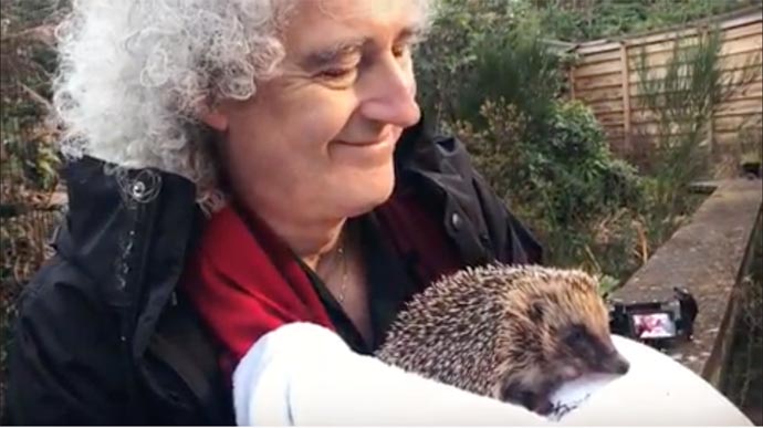 Brian shows hedgehog - from Instagram