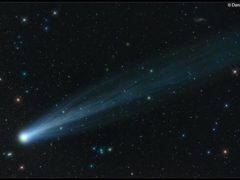 Comet ISON by Damian Peach