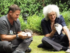 Steve Backshall, Bri and hedgehogs on lawn