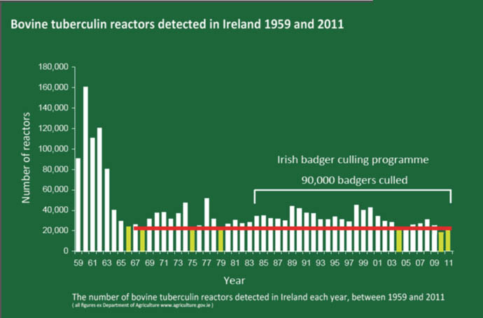 Bovine tuberculin reactors detected in Ireland 1959 an 2011