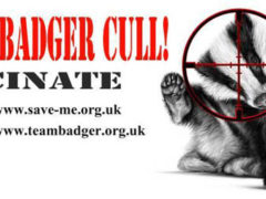 Billy Badger - Stop The Badger Cull