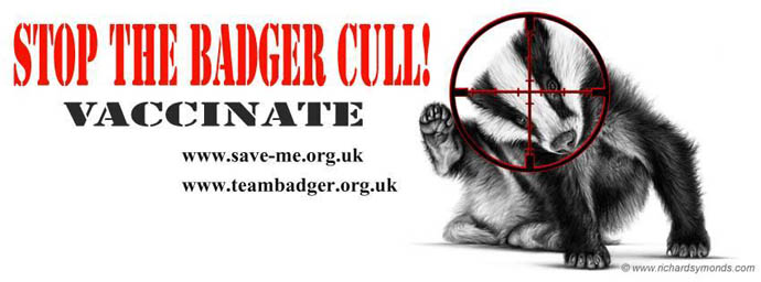 Billy Badger - Stop The Badger Cull