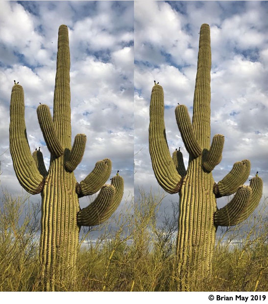 Cactus - parallel