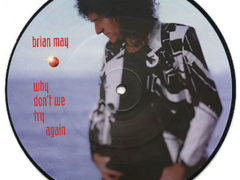 Why Don't We Try Again picture disc