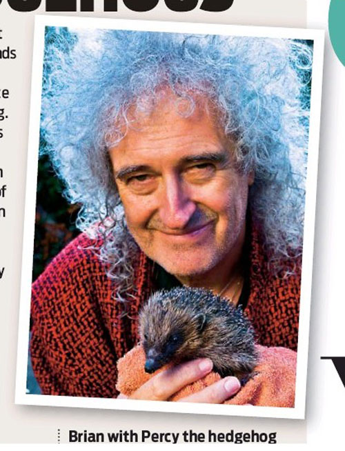 Brian May and Percy the hedgehog