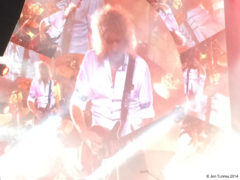 Brian May - Merriweather Post Pavilion © Jen Tunney