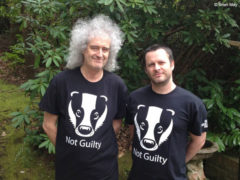 Brian May and Jonti Pickering - Mr Weebl
