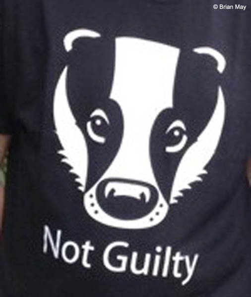 Not Guilty T-shirt