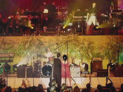 Brian May playing for wedding reception