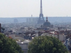 Paris view - mono