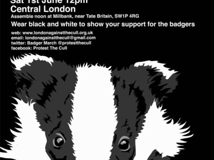 Badger Cull March Poster