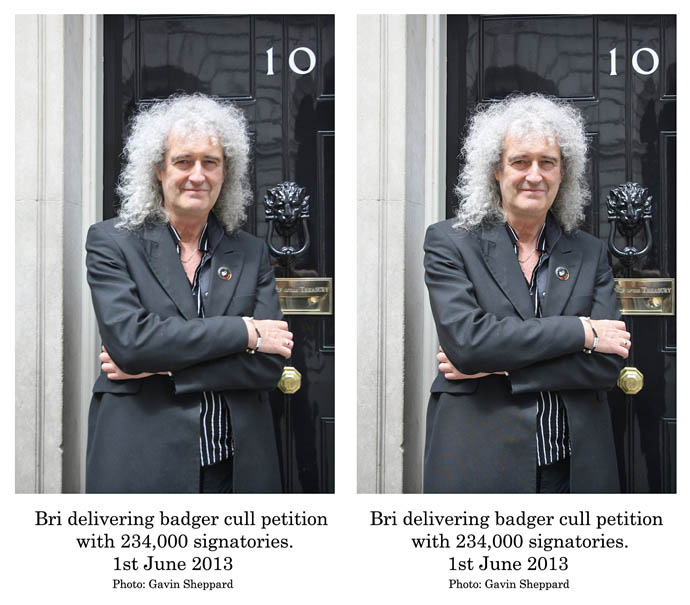 Brian May presents petition at No 10 Downing Street