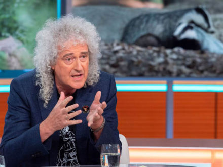 Queen guitarist Brian May called badger culling a ‘tragedy and unnecessary crime’ against UK’s wildlife. Photograph: Ken McKay/ITV/ReX/Shutterstock