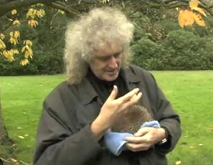 Brian May and Percy The Hedghog