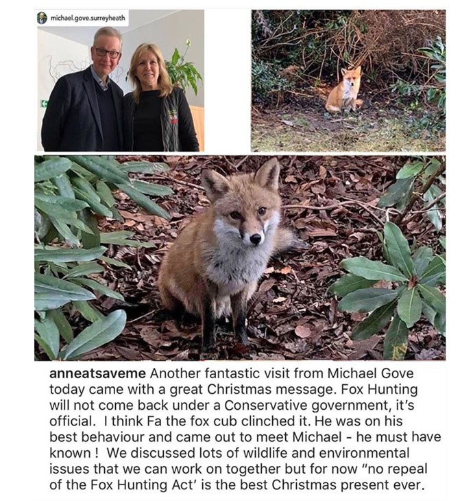 Michael Gove, Anne Brummer and Fa the Fox