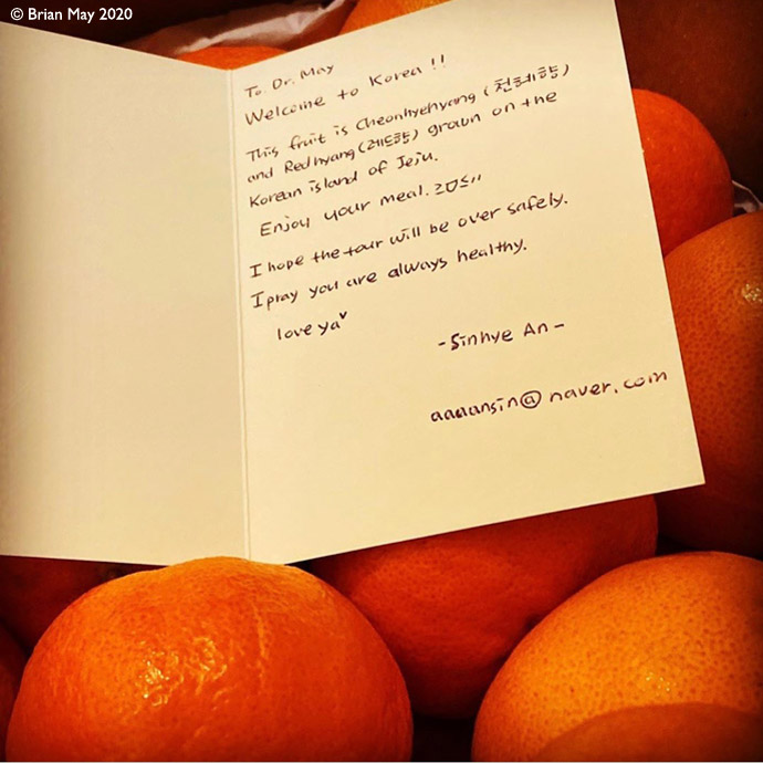 S Korea gifts - oranges