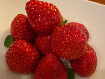 Strawberries - mono