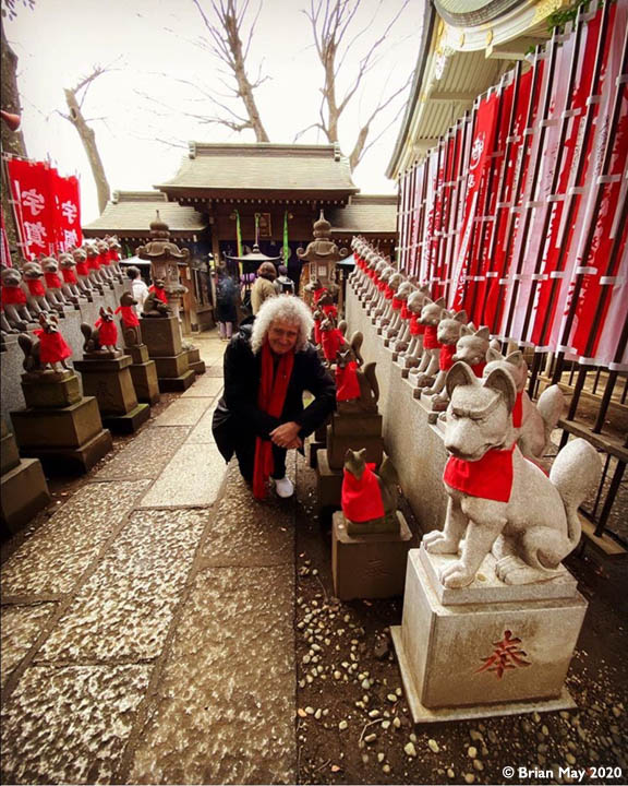 Brian admiring foxes, Shinto Shrine