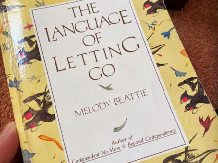 The Language of Letting Go - cover