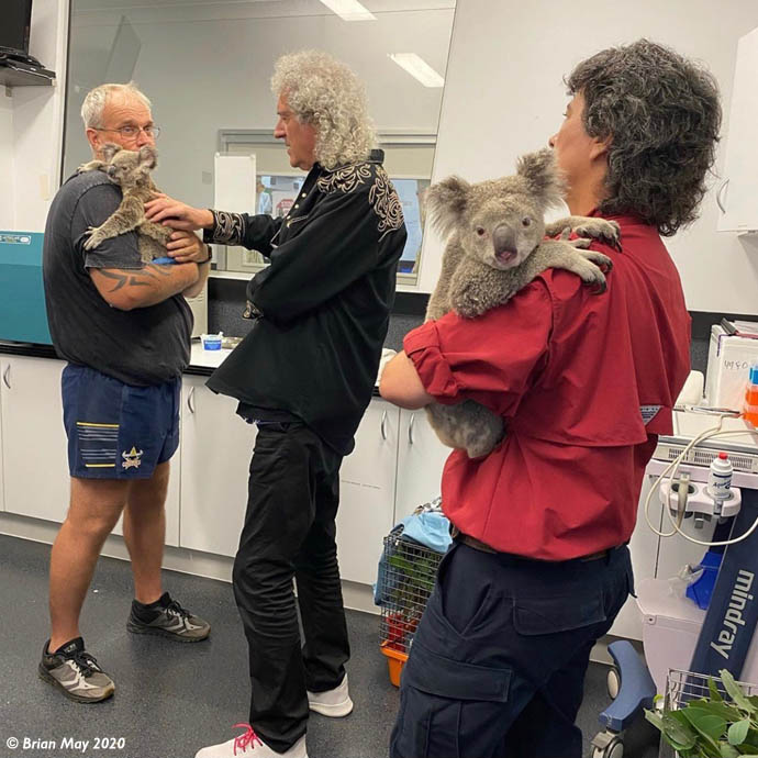 Bri with Staff and koalas, RSPCA Animal Hospital, Wacol, Brisbane