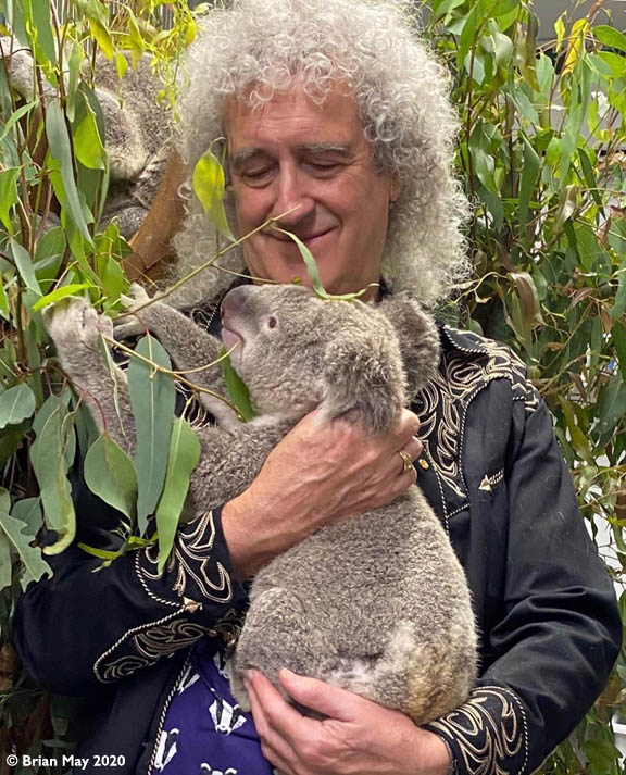 Bri and koala