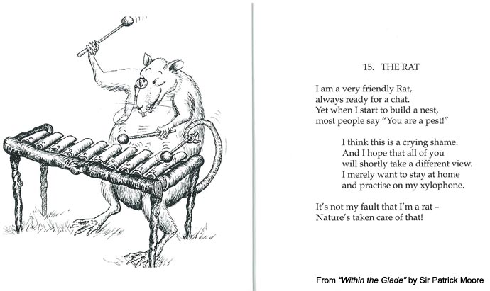 The Rat by Sir Patrick Moore from "Within The Glade"