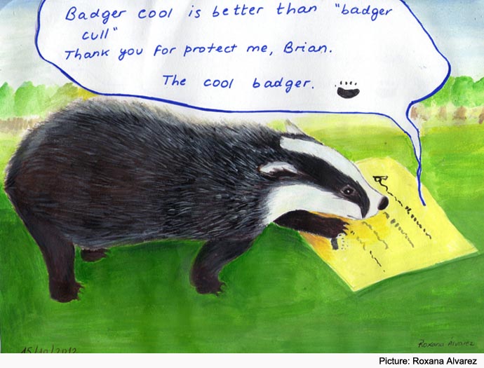 Badger Cool