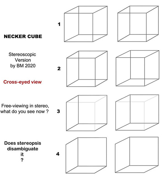 Necker Cube - cross-eyed