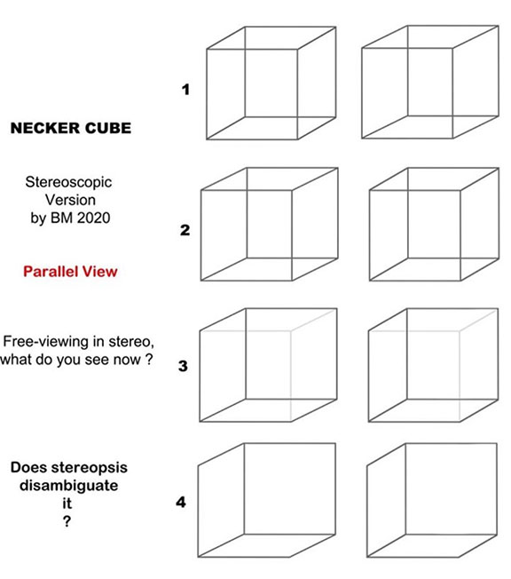 Necker Cube - parallel