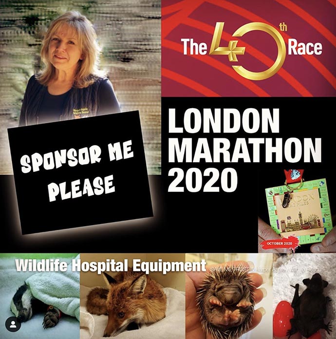 Sponsor Anne Brummer - Virtual London Marathon