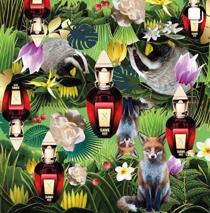Xerjoff perfume collage