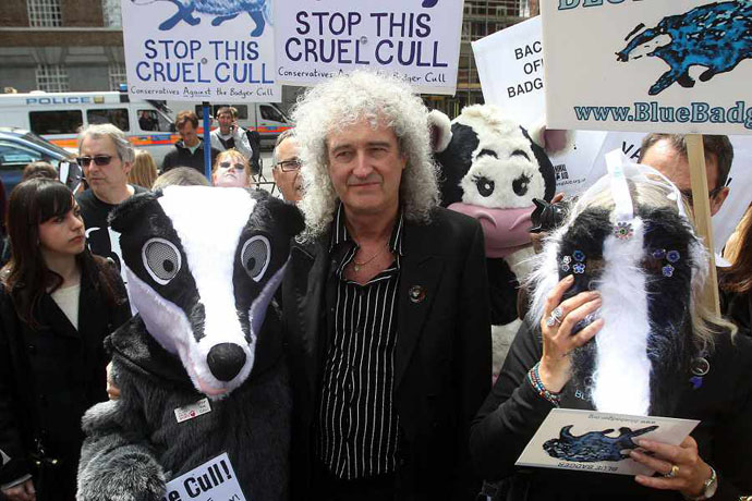 Brian May joins protestgres dressed as badgers