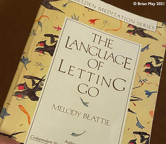 The Languge of Letting Go - crop