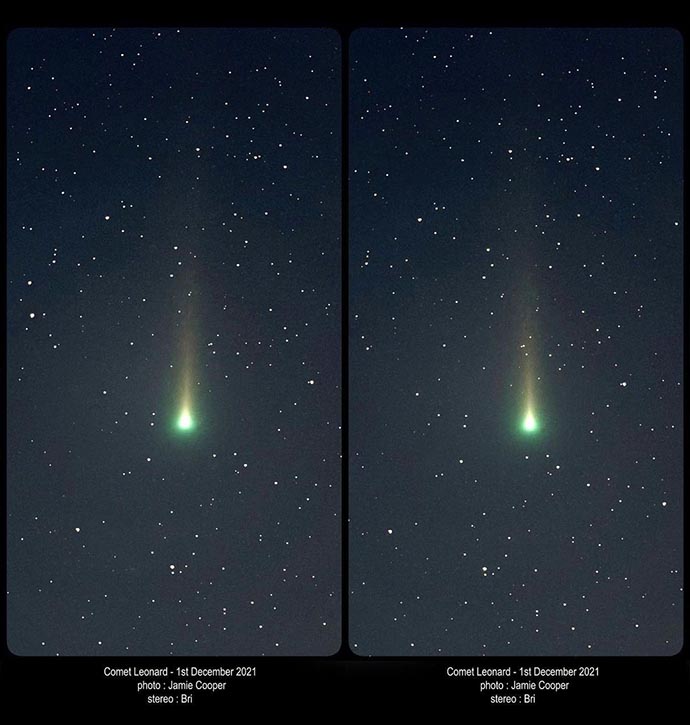 Comet Leonard - cross-eyed