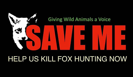 Sae Me - Help us kill fox hunting