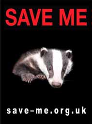 Save Me badger
