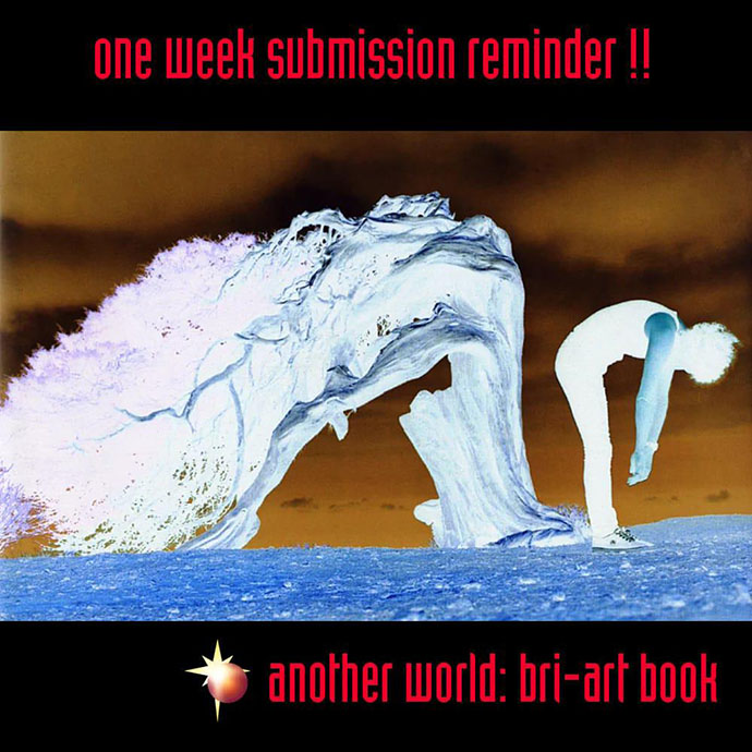 Bri-art Anther World art book reminder