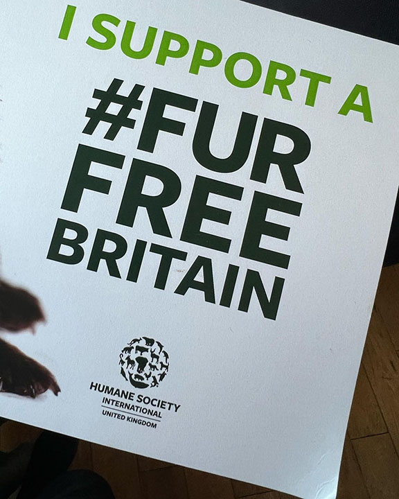 I support fur free Britain