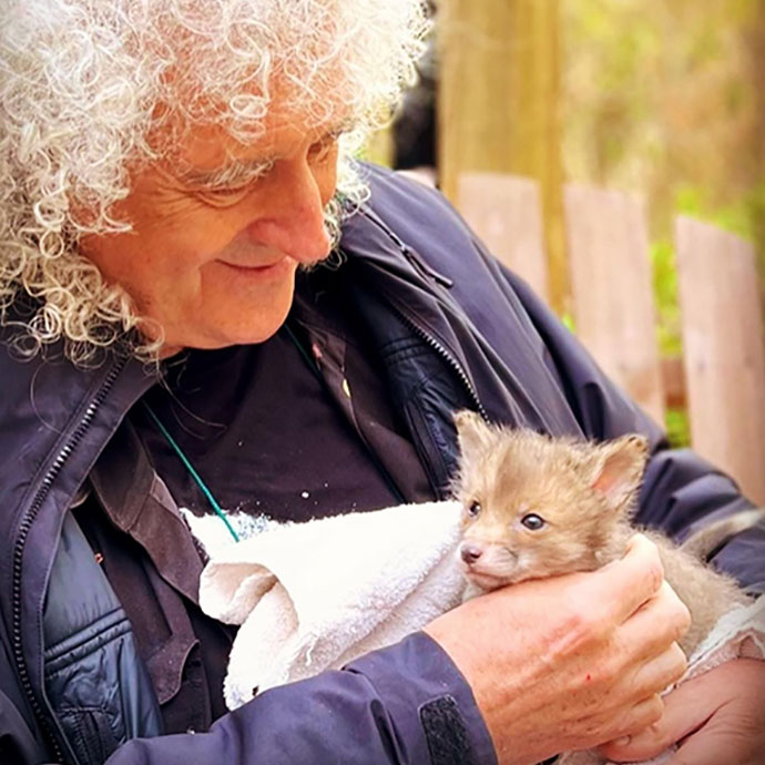 Brian May with fox cub - crop